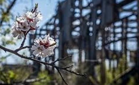 Щоденник війни. Тиждень двісті десятий. Нехай весь світ почекає, допоки ми трохи видихнемо.