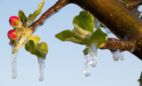 Прогноз погоди на 20-22 квітня