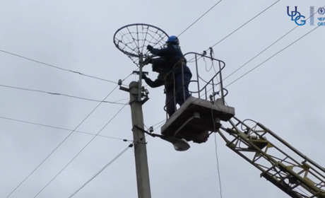 На Черкащині встановлюють штучні гнізда для лелек