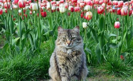 Погода на лівобережжі Херсонщини з 23 по 25 квітня: прогноз Українського гідрометцентру