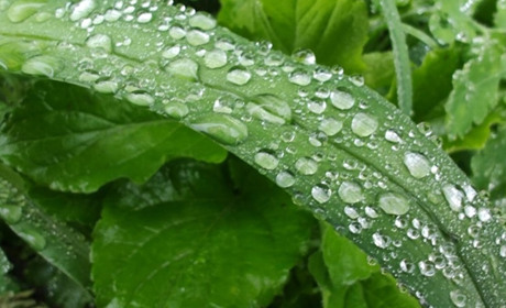 Прогноз погоди у Звягелі: коли потепліє та чого чекати від весни 2026