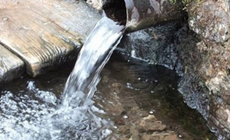 Звягель: де можна пити воду з джерел, а де – краще не ризикувати