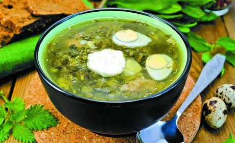 Домашній зелений борщ: прості рецепти для всієї родини