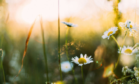 Погода на Гадяччині: прогноз від синоптиків на тиждень