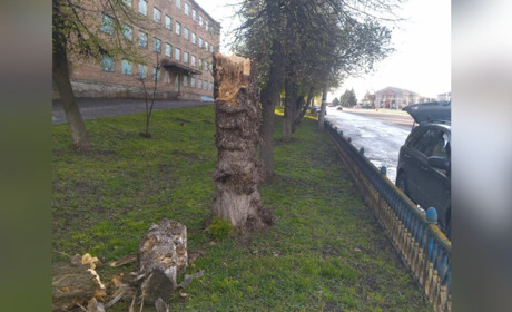 Шквальний вітер і дощ: які наслідки для Золотоноші