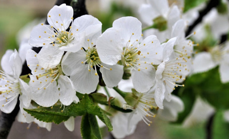 Примхи погоди: яким в Старокостянтинові буде травень 2026