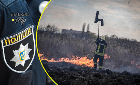 На Переяславщині було багато пожеж, в селі горіло болото: хроніка поліції
