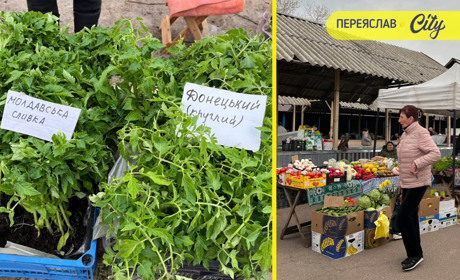 На базарі в Переяславі розсаду помідорів продають по 50-80 гривень, а капусту і перець по 70