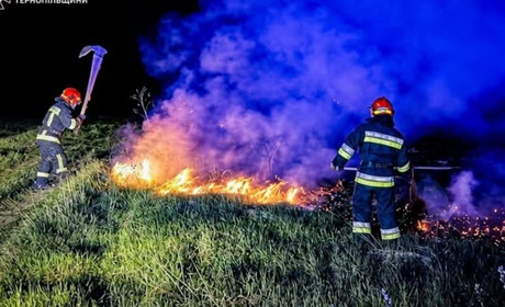 На Кременеччині за добу ліквідували дві пожежі сухої трави