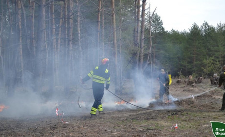 На Полтавщині зафіксували дві лісові пожежі: одна — через ворожий дрон