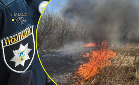 Біля "бази Кличка" горіла трава, а на Альті очерет: хроніка поліції