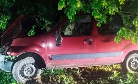 На Гадяччині п'яний врізався в дерево: відкрите кримінальне провадження