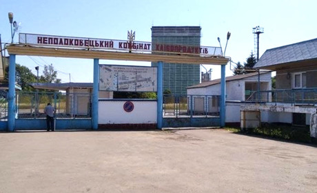 На Буковині знову виставляють на приватизацію Неполоковецький комбінат хлібопродуктів