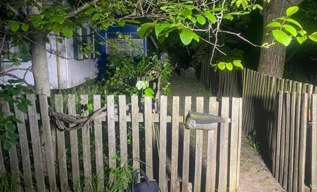 Жорстокий напад серед білого дня: на Золотоніщині пограбували 86-річну жінку