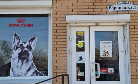 Робота без бар’єрів та допомога тваринам: як інклюзивні програми підтримують бізнес у Шостці