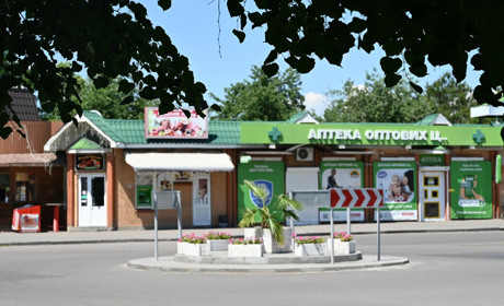 Кіпрська пальма у Золотоноші: історія курортного деревця