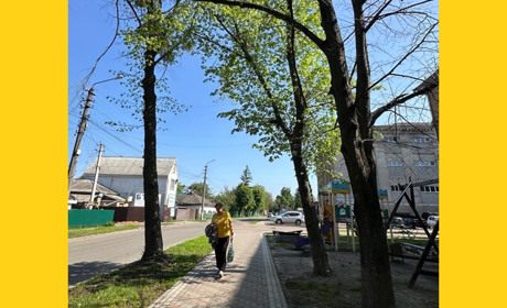 У Переяславі спиляють та обріжуть понад пів сотні дерев: рішення виконкому