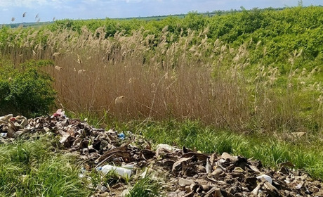 До 10 років ув’язнення за шкоду довкіллю: у Раді зареєстрували законопроєкт