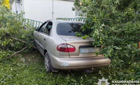 На Золотоніщині нетвереза водійка потрапила в ДТП: травмувалися двоє дітей
