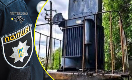 За добу на Переяславщині горів очерет на Альті, закинута будівля і задимів трансформатор