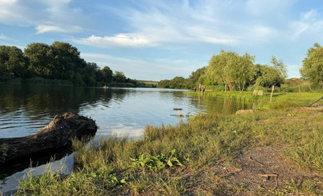 Береги Південного Бугу без сміття: Гард.City просить підтримати важливу петицію