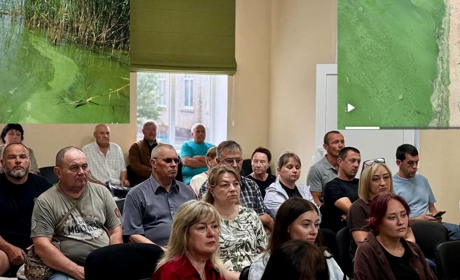Чи стане Берестова знову живою? У громаді презентували проєкт відновлення