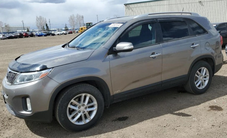 Безпечна покупка авто з Daydrive.ua