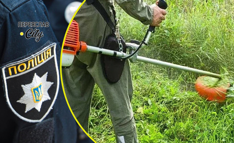 У Переяславі жінка заявила на чоловіків, які по дорозі розкидали скошену траву: хроніка поліції