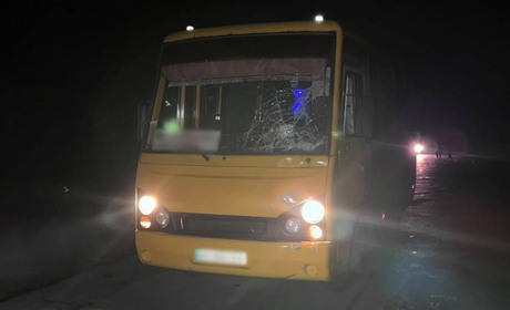 Смертельна ДТП у Звягелі
