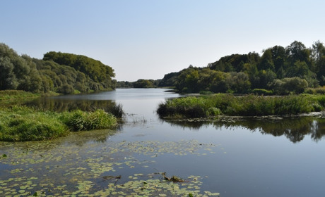 У Звягелі купатися можна, у Житомирі – ні: свіжі проби води