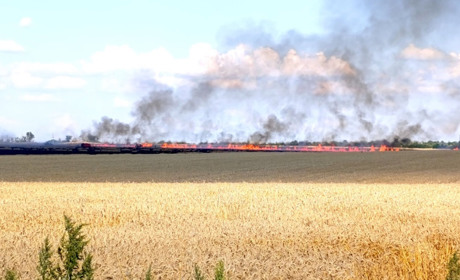 Поблизу Шевченкового горіло пшеничне поле після атаки російського БпЛА