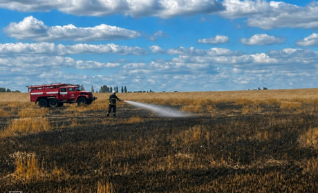 Пожежа після російського удару знищила 2 га пшениці на Житомирщині