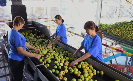 Як у Золотоноші народжується продукція, яку знають далеко за межами України