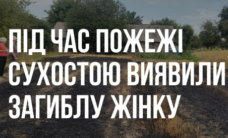 На Звягельщині під час пожежі сухої рослинності виявили загиблу жінку