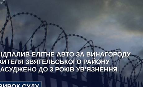 Житель Звягельщини спалив Mercedes за винагороду у 20 тисяч гривень – суд дав 3 роки