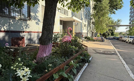 Як без бюджетних коштів і дорогих підрядників навели лад: історія одного двору у Південноукраїнську