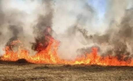 Окупаційна влада продовжила режим надзвичайної ситуації на лівобережжі Херсонщини