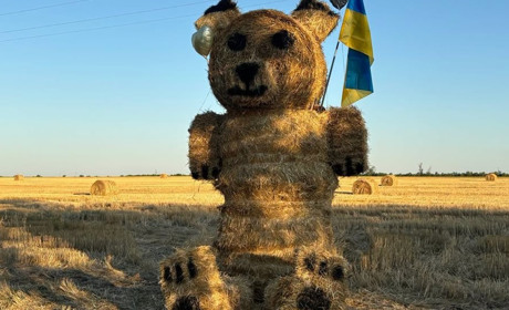 Неподалік Південноукраїнська зробили 4-метрового ведмедя із сіна – туди їдуть цілими родинами