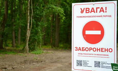 На Черкащині оштрафували 7 порушників пожежної безпеки у лісах: за серпень уже 48 рейдів