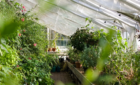 Укрывной материал – как вырастить хороший урожай