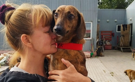 Зооволонтерський фронт Нікополя продовжують утримувати віддані своїй справі мешканці