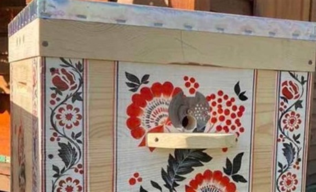 На Черкащину евакуювали бджолиний рій з Бахмута та виробництво вуликів з Костянтинівки