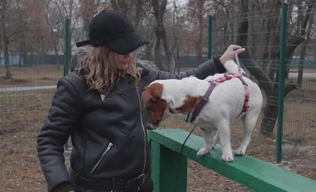 У Шостці відкрили перший майданчик для вигулу собак