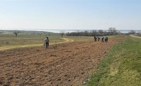 В Болградському районі висадять півтисячі дерев