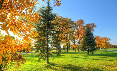 Погода на Сумщині та в Україні: що прогнозують синоптики на найближчі дні