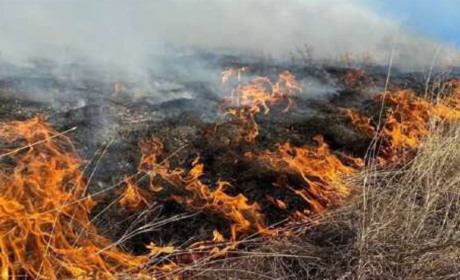 На Хмельниччині вогнеборці ліквідували лише за минулу добу 7 пожеж в екосистемах