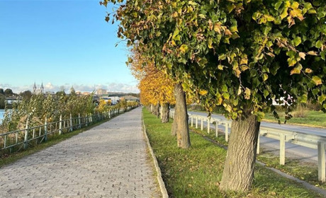 Погода у Барі з 14 по 20 жовтня: прохолодно, без опадів і з заморозками