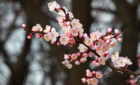 Якою буде погода у Сватівському районі на Великдень: прогноз з 26 квітня по 2 травня 2021