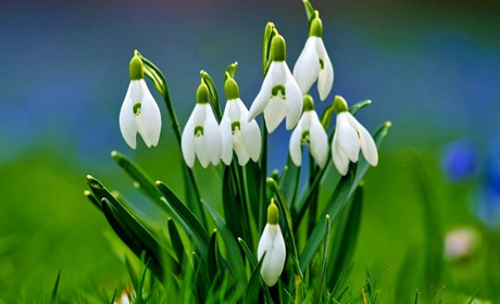 В неділю на Сумщині дощитиме: прогноз погоди на вихідні