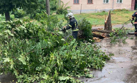 Рятувальники розблокували автошляхи від повалених через негоду дерев